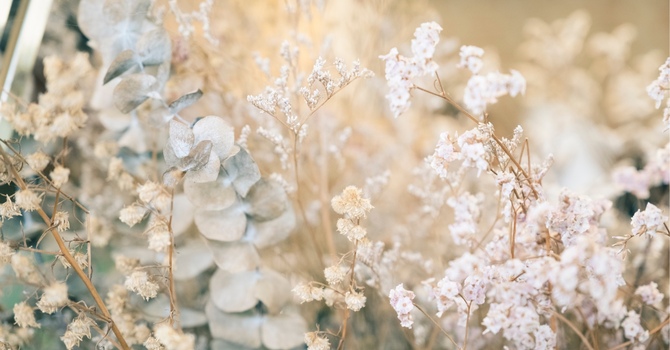 Updating the website